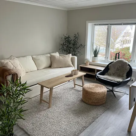 Cozy, And Urban House