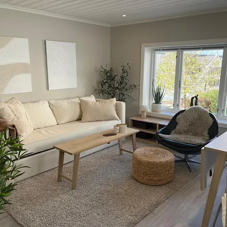 Cozy, And Urban House